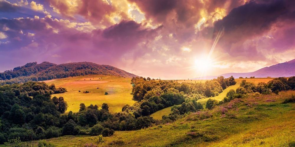 确认引进!经典“逃生游戏”再度来袭,电影《饥饿游戏:鸣鸟与蛇之歌》引爆期待!